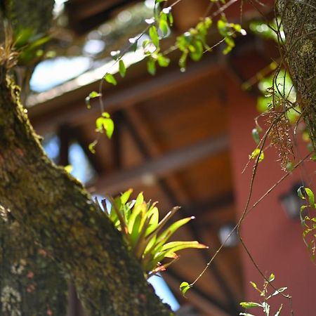 Badenwein Villa Campos do Jordao Luaran gambar